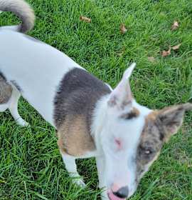 Ulti (PA) Loves people! photo 4