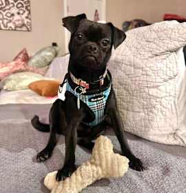 Photo of Smokey Robinson