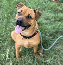 Photo of Gracious Pink