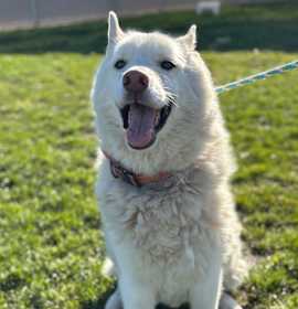 Photo of Catmandu-SLAC