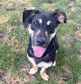 Photo of Lil Dipper aka Leo