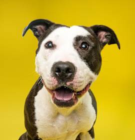 Holly (fka Daria) photo 2