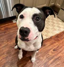 Holly (fka Daria) photo 3