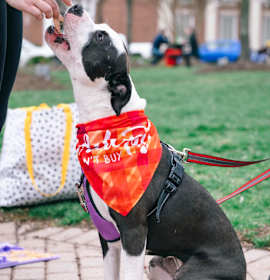 Holly (fka Daria) photo 4