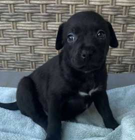 Photo of Lottie Deno