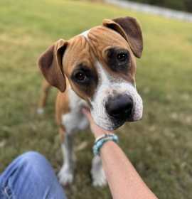 Photo of Winnie Boxer