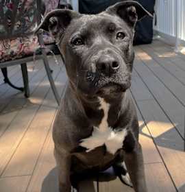 Photo of XP Marley NJ