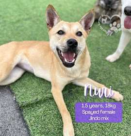 Photo of Nuri - TORONTO!!!