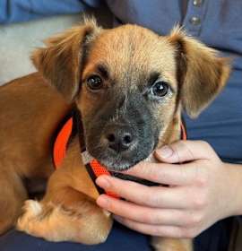 Photo of Spooky C Moore