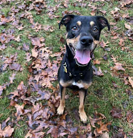 Oscar *courtesy post* photo 2