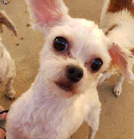 DANNY & SANDY photo 2