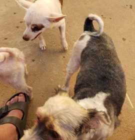 DANNY & SANDY photo 3