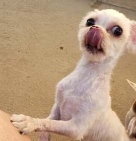 DANNY & SANDY photo 4