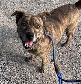 Photo of Lucy May Barker