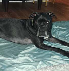 Shuri and T’Challa photo 2