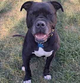 Shuri and T’Challa photo 4