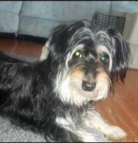 Photo of Lucinda (Foster home)