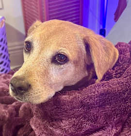 Photo of Cyclone #6783