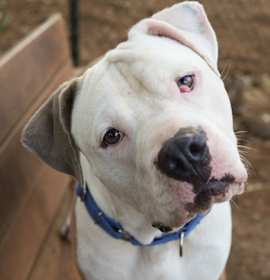 Photo of Freebird 59479