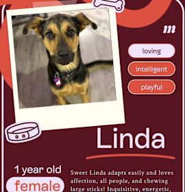 Photo of Linda