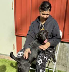 Cornflake (Mall of NH) photo 2