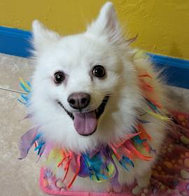 Photo of Portia of South FL