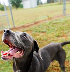 Photo of Sweater Weather