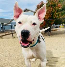 Photo of Vernell (Keelo)