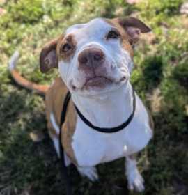 Norma Louise Bates photo 1