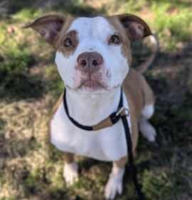 Norma Louise Bates photo 2