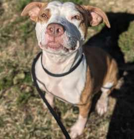 Norma Louise Bates photo 3