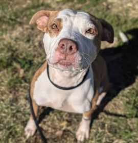 Norma Louise Bates photo 4