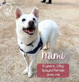 Photo of Mimi