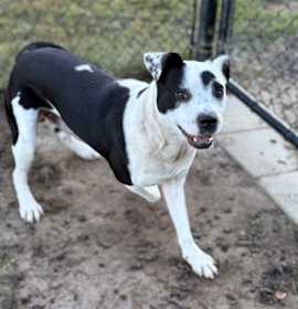 Photo of Cobweb (HW+)