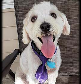 Photo of Gumbo-Pending