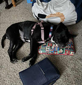 Nancy Pretzel photo 4