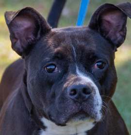 Photo of Chloe Cnty-323