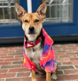 Photo of Heather - LOCAL