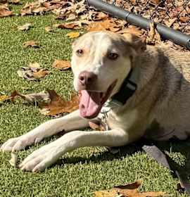 Bryson Michael photo 1