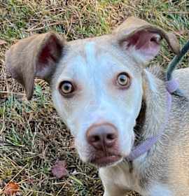 Bryson Michael photo 2