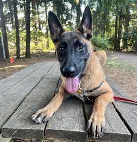 Photo of Fiona - located in OR