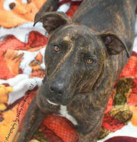 Photo of Luigi *Trained*