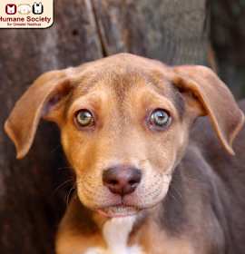 Photo of Caramel Corn