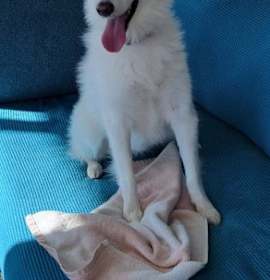 Photo of Clio of Ormond Beach Fl