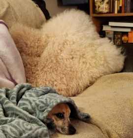 Maggie (In Foster) photo 4