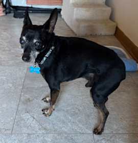 Photo of Jazz-Foster Needed