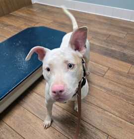 Hope (LA) NEW PIC! photo 1