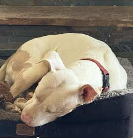 Hope (LA) NEW PIC! photo 2