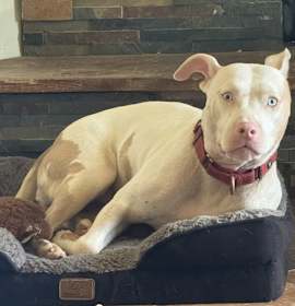 Hope (LA) NEW PIC! photo 3