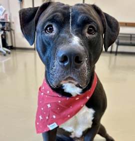 Monster Mash photo 1